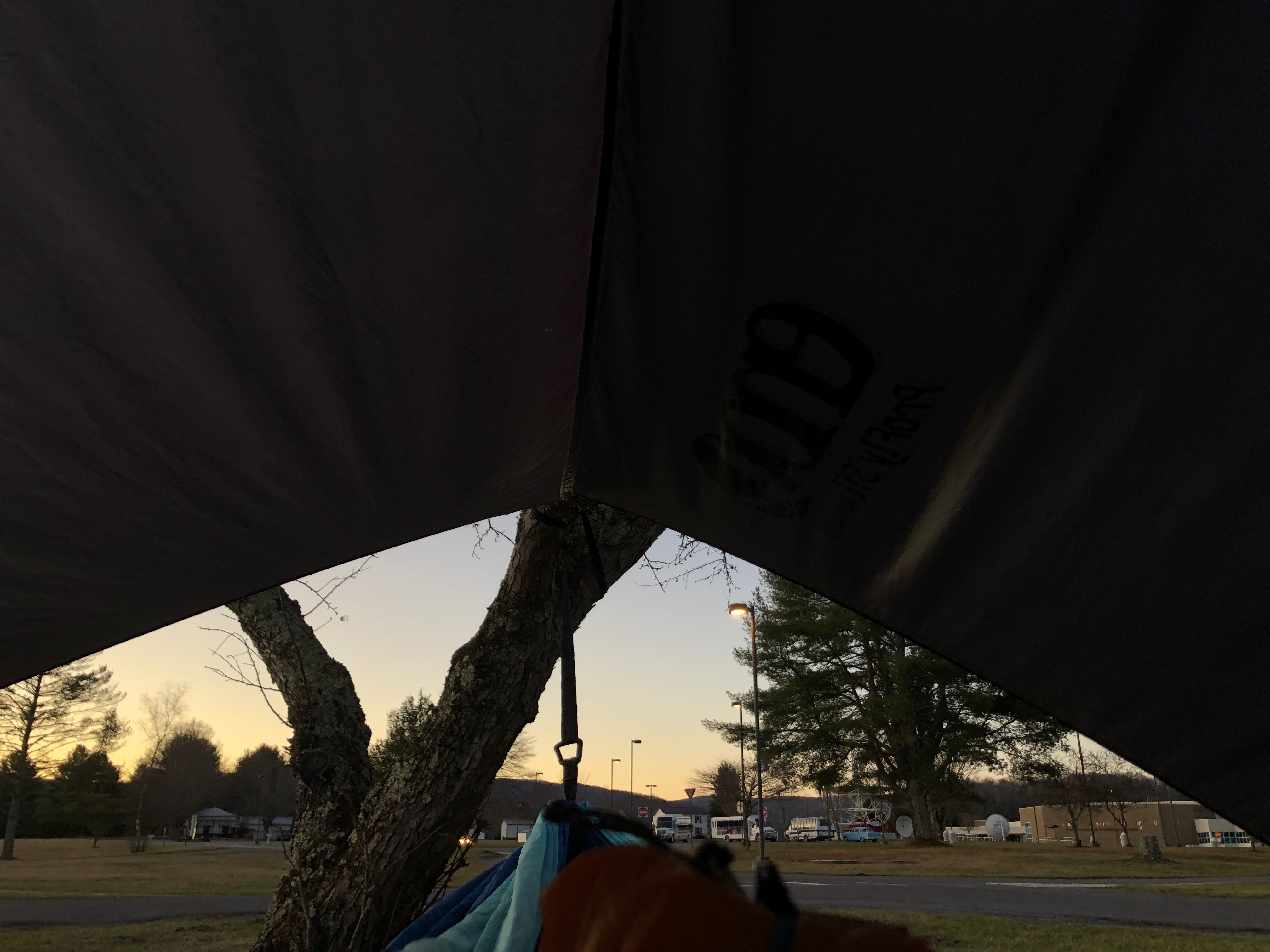 View of the end of my hammock at Greenback Observatory, at sunrise.